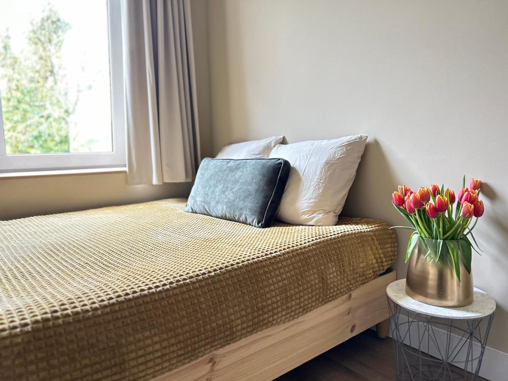 Lovely Spacious Apartment 赞德沃特 外观 照片